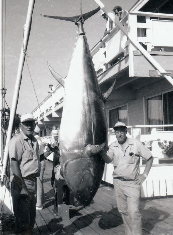 Catching a big tuna could mean catching a big prize. Pictured are past participants Ben Lewis and Howard Brewer at Brown Bros. File photo