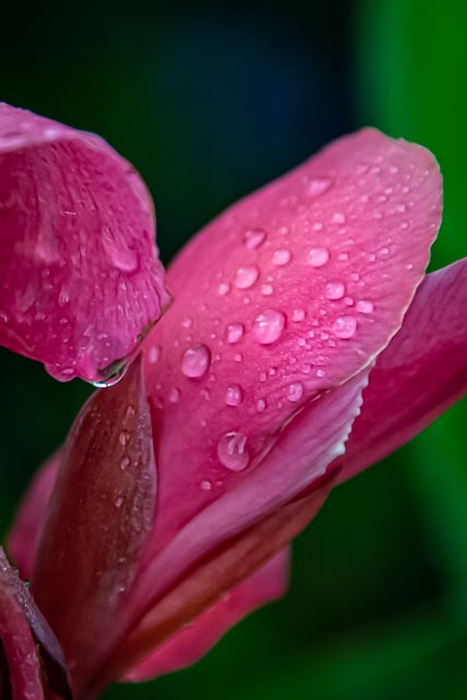 Martin Grassie photo