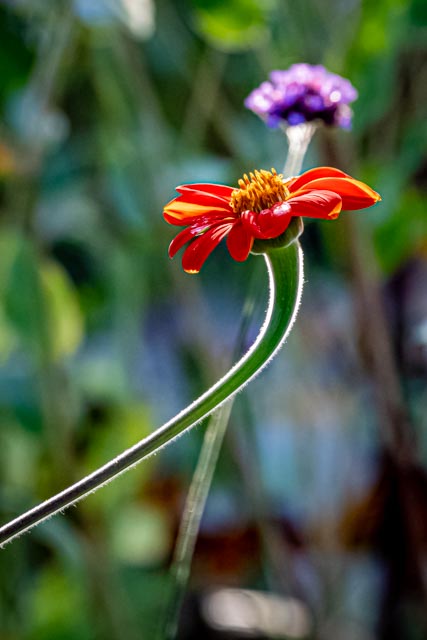 Martin Grassie photo