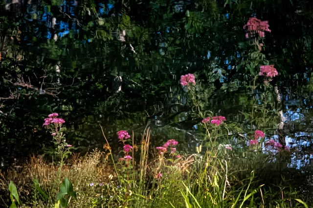 Martin Grassie photo