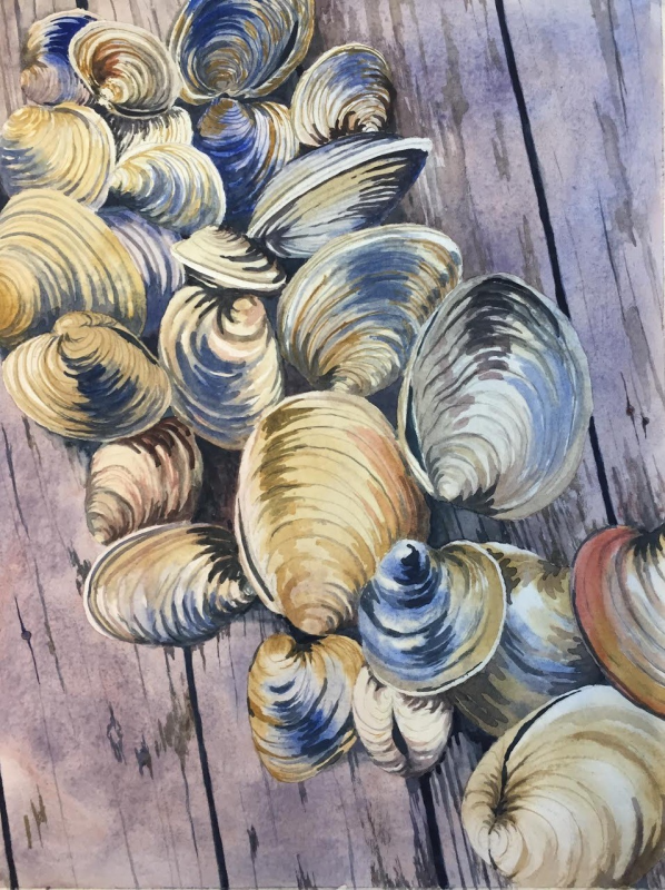 "Clams on the Dock," watercolor by Molly Mugleris included in the upcoming exhibit at the Maine Art Gallery, Opening reception is Saturday, Sept. 24 from 4-7 p.m. Courtesy of the venue Molly Mugleris