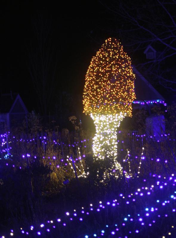 STEVE EDWARDS/Boothbay Register