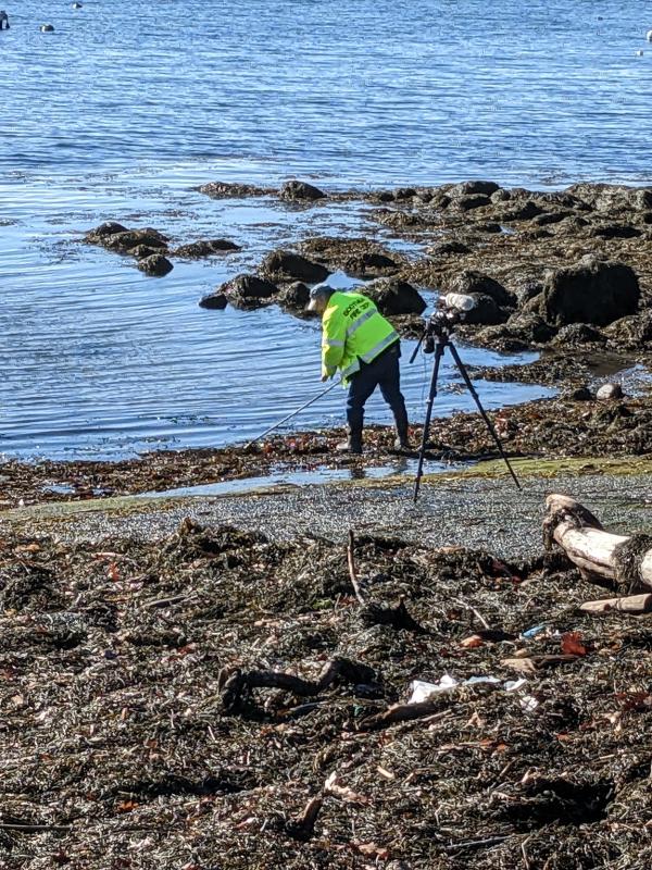 Clearing the path for plungers. CANDI JONETH/Boothbay Register