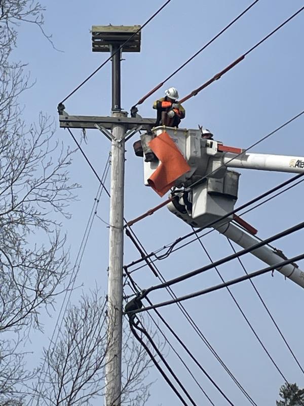 A Central Maine Power crewman finishes putting the osprey nesting box on the West Boothbay Harbor utility pole. Courtesy of Ted Varipatis/Serra Public Affairs