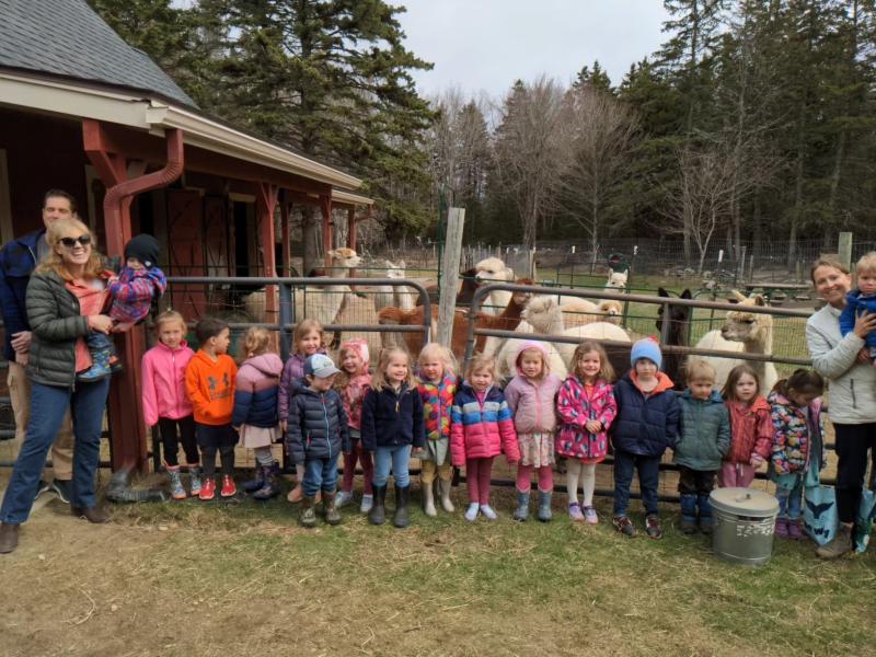 Joan Chatterton’s (left) Sheepscot Valley Children’s House preschool class from Wiscasset tours Cape Newagen Alpaca Farm in Southport and meets their “adopted” alpaca, Theodora. CANDI JONETH/Boothbay Register