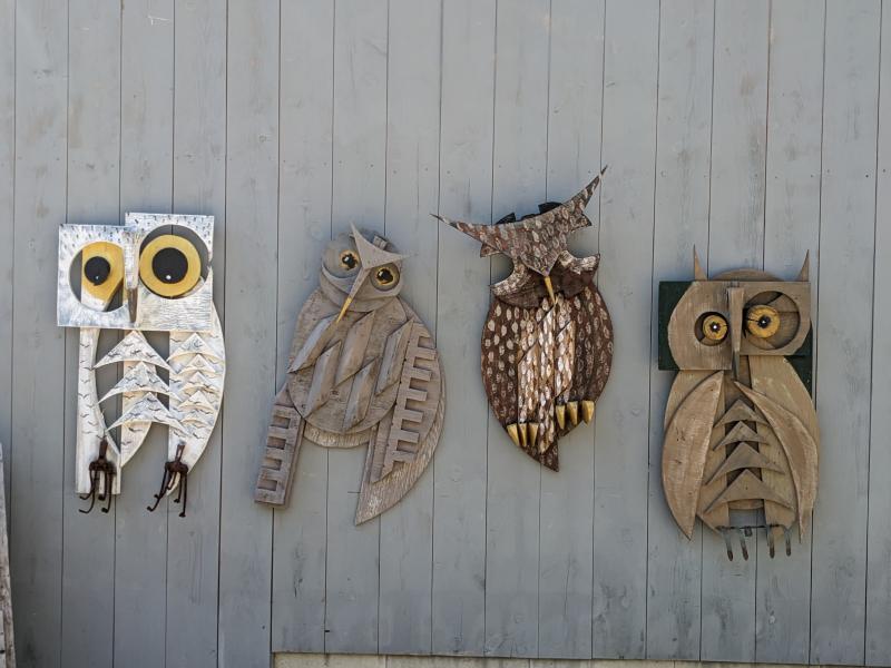 “Owls.”