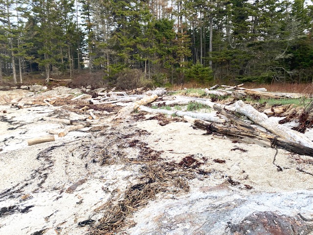 The supply of driftwood on Pratt’s Island for the Southport Community Project. Courtesy photo