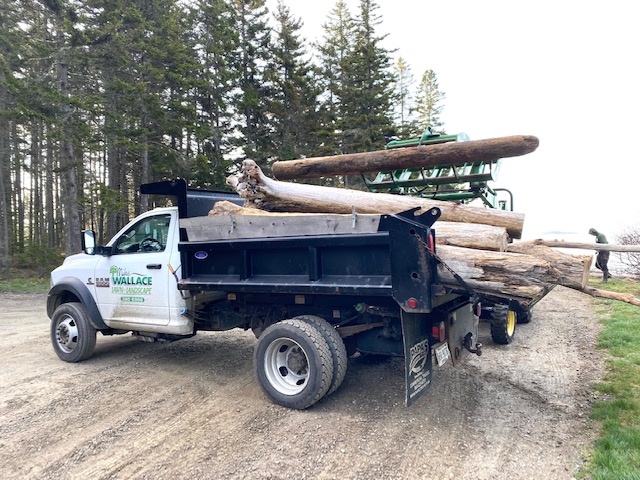 Driftwood from Pratt’s Island is collected for the Southport Community Project. Courtesy photo