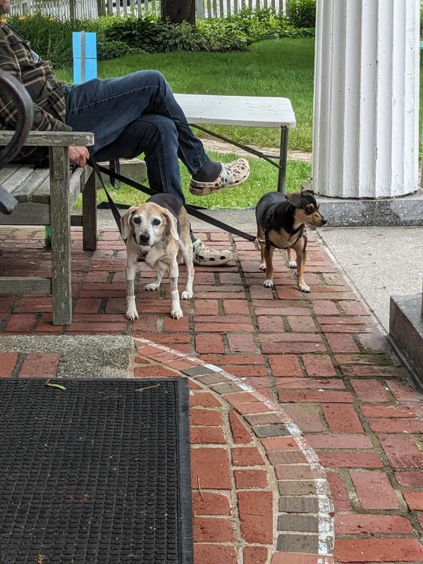 CANDI JONETH/Boothbay Register