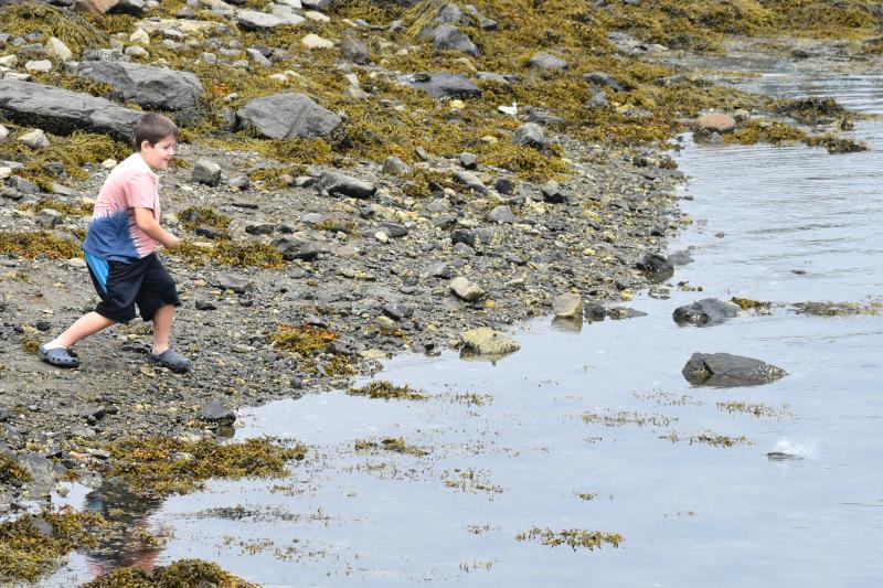 The winner of the children’s division went by the rock skipper name “Bob.” FRITZ FREUDENBERGER/Boothbay Register