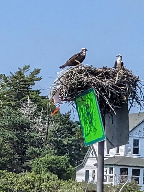 CANDI JONETH/Boothbay Register