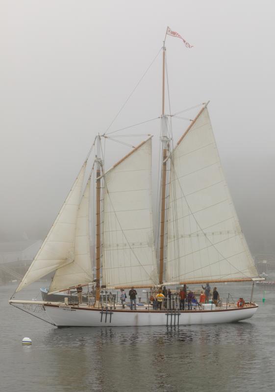 Eastwind. Michael Leonard photo