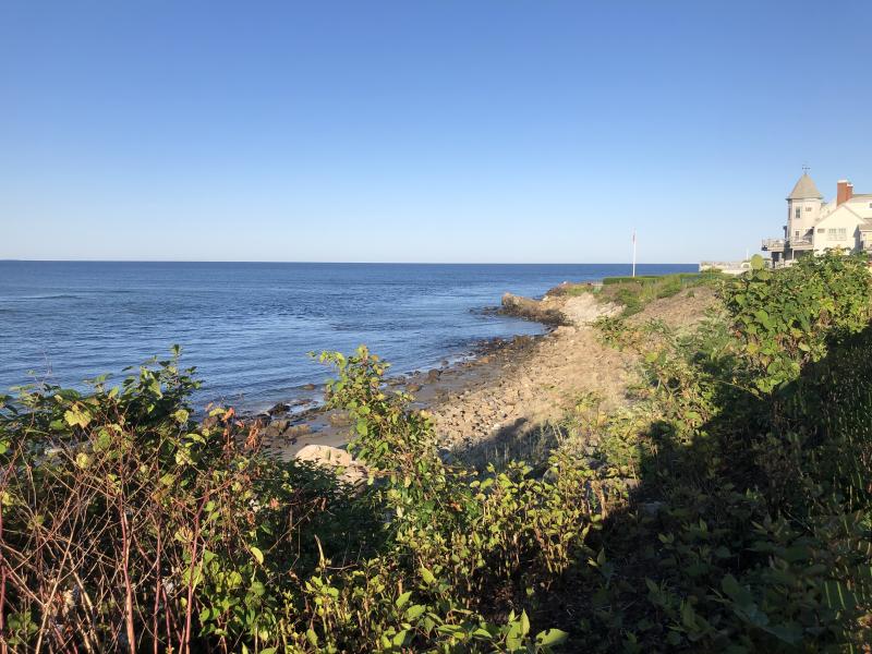 Twenty semipalmated plovers rested on the rocks below the Marginal Way path in Ogunquit on their migration south from northern Canada on a late-August day. Courtesy of Jeff Wells. #bird-column, #boothbay register, #Jeff and Allison Wells, #birds, #maine, #Ogunquit
