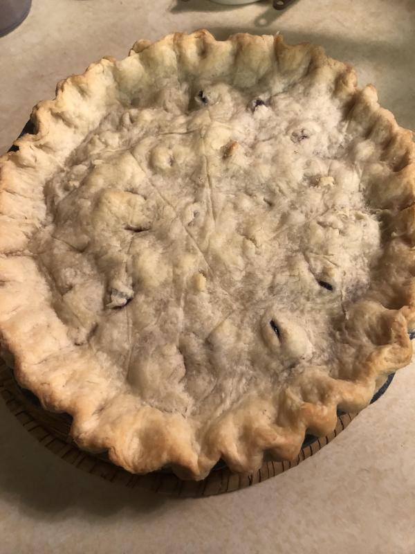 Fresh blueberry pie made with the authors’ first Maine blueberries of the season - and a great reminder of places. plants, and wildlife that make Maine special. Courtesy of Allison Wells #bird-column, #Jeff and Allison Wells, #boothbay register, #birds, #maine, #pemaquid, #blueberries