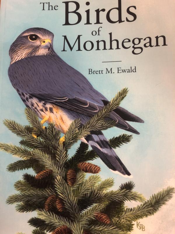 Casual visitors to the island and Monhegan fanatics alike will enjoy this new book by Brett Ewald. #bird-column, #birds, #jeff and allison wells, #maine, #monhegan island, #boothbay register