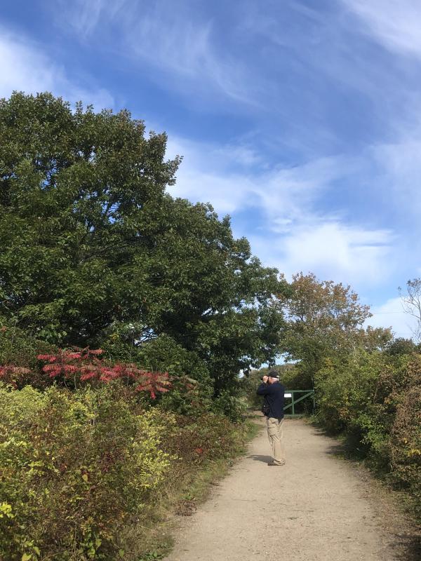 Jeff Wells birding along Timber Point Trail, Rachel Carson Wildlife Refuge, where the birding was superb. Photo courtesy of Allison Childs Wells #bird-column, #boothbay register, #jeff and allison wells, #maine, #birds, #timber point