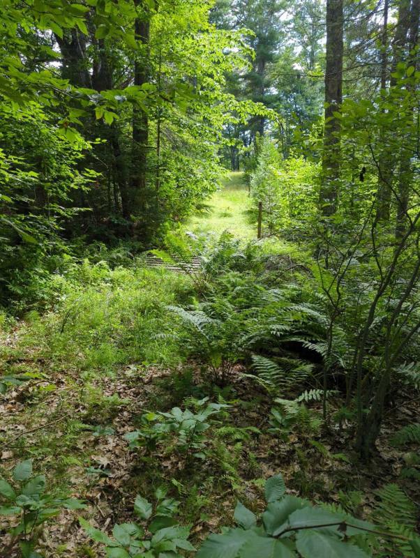 This trail on the O’Bryans’ property, part of a local snowmobile trail network, is now permanently protected. Courtesy photo