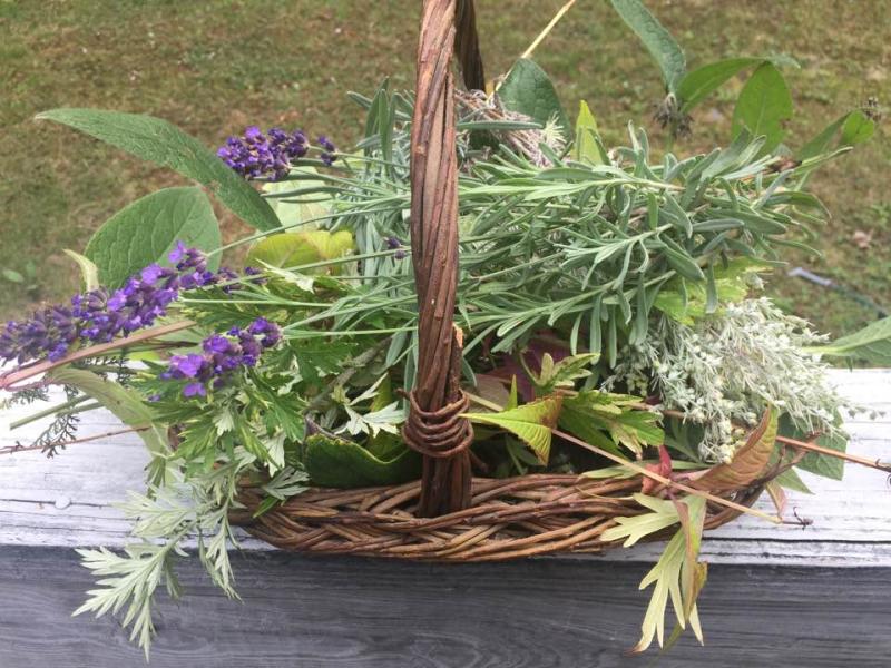 A basket of rosemary, mugwort and lavender. LISA KRISTOFF/Boothbay Register