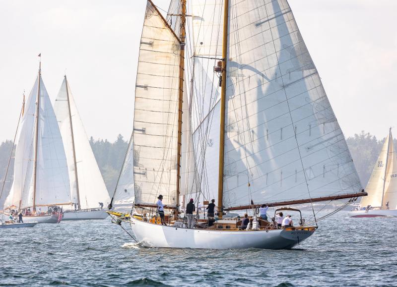 Rebecca during the 2023 race. Rod Harris Photography photo