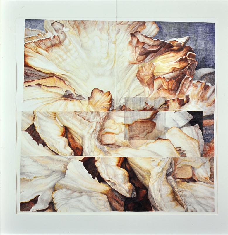 “Transmogrification of the Square” - Brenda Bettinson, Mathias Fine Art. Brenda Bettinson/Mathias Fine Art