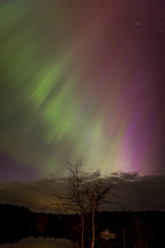 Mike Leonard photo