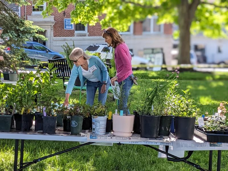 BHML native plant sale co-organizers, from left, Leslie Volpe and Liz Lussier. CANDI JONETH/Boothbay Register