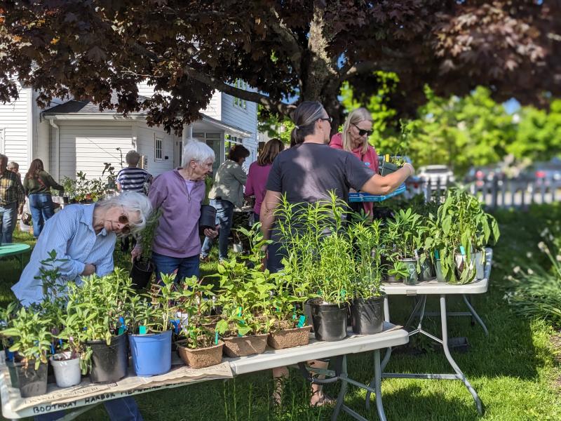 CANDI JONETH/Boothbay Register