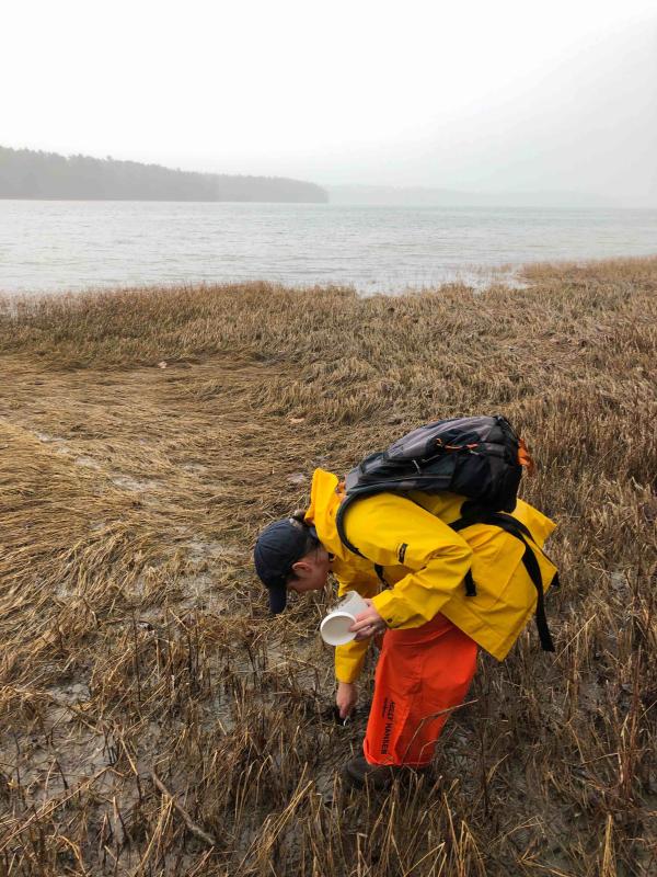 Bigelow Laboratory research staff collect samples of sediment, which is one of the mediums that Bigelow Laboratory can test for PFAS. Christoph Aeppli photo