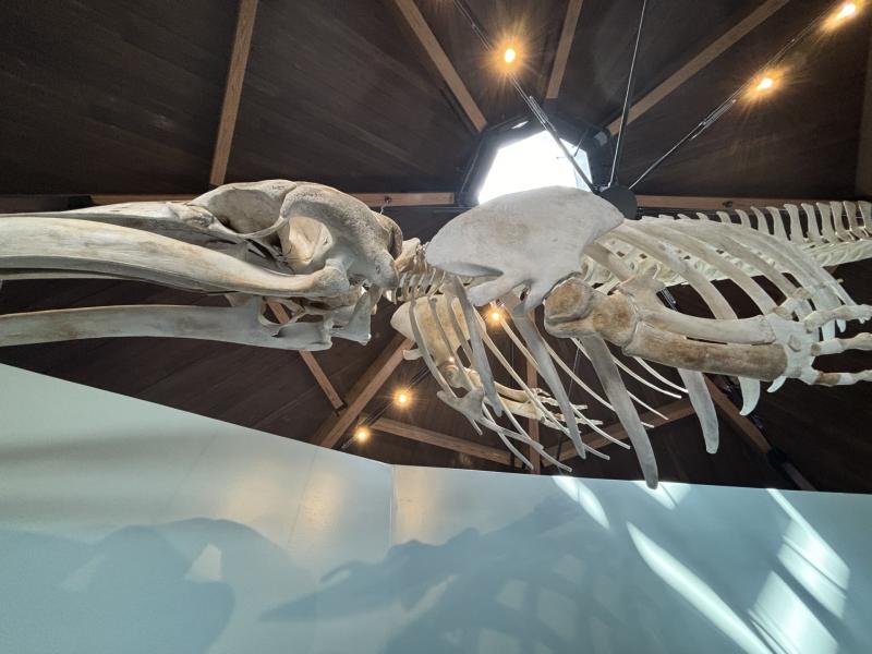 LISA KRISTOFF/Boothbay Register