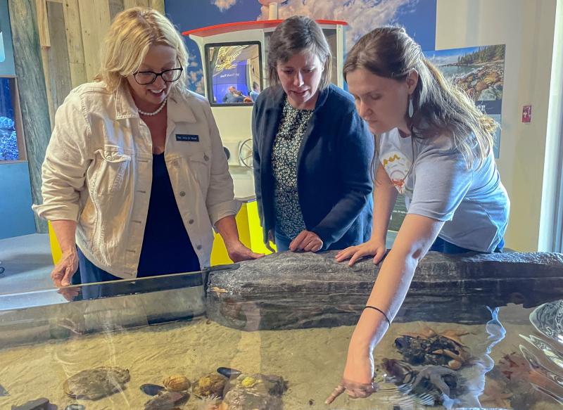 Maine State Aquarium staff member Ella Sharp shows State Rep. Holly Stover and State Sen. Cameron Reny around the touch tank. FRITZ FREUDENBERGER/Boothbay Register