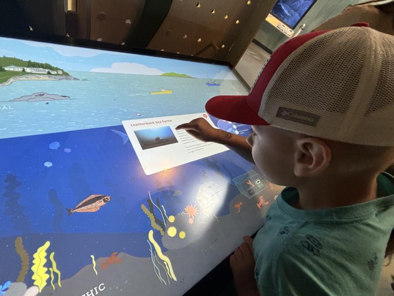 This youngster was one of the 630 people who visited the Research Touch Table at the new Gulf of Maine Discovery Center grand opening on June 26. LISA KRISTOFF/Boothbay Register