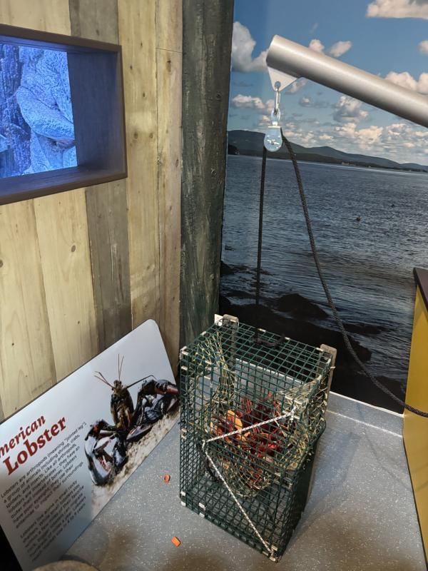LISA KRISTOFF/Boothbay Register