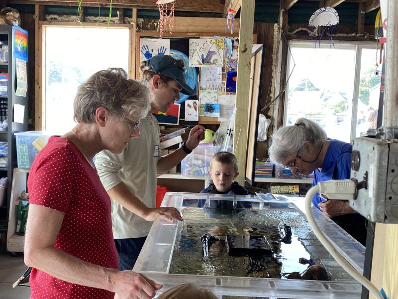 ISABELLE CURTIS/Boothbay Register