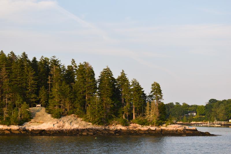 A view of Porter Preserve from the water. Courtesy of Kelsey Moon @kelseymoon14