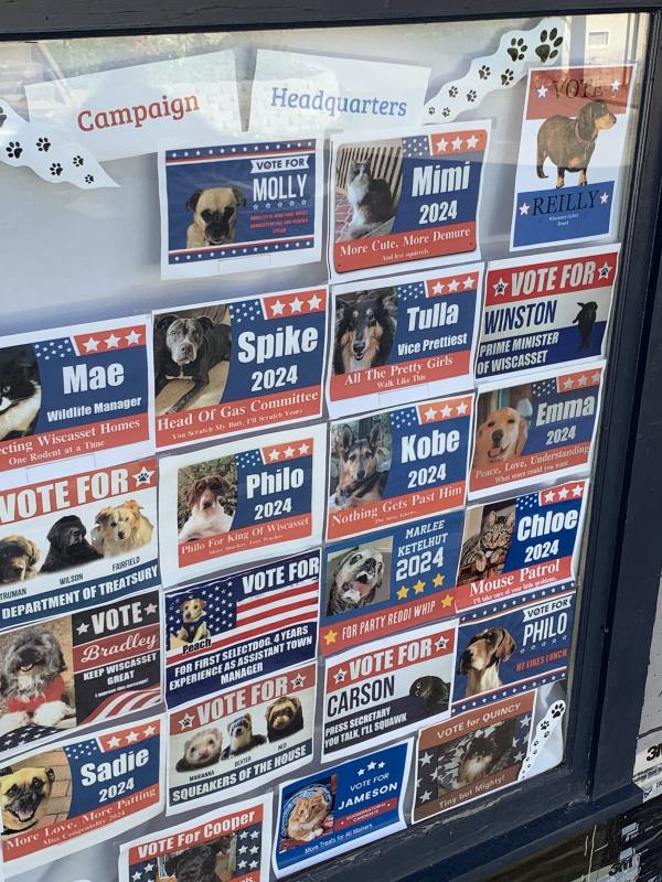 Pet campaign signs at 51 Water St., Wiscasset. SUSAN JOHNS/Wiscasset Newspaper