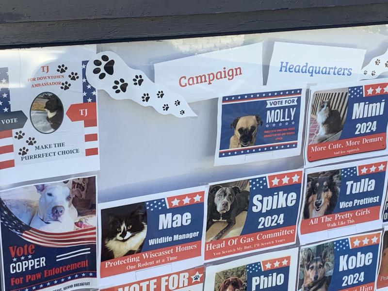 Part of the display at 51 Water St., Wiscasset. SUSAN JOHNS/Wiscasset Newspaper