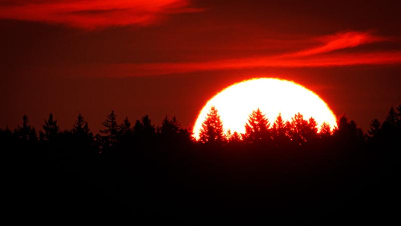 Mike Leonard photo