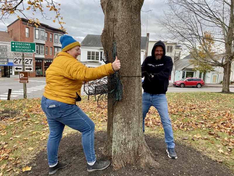 Volunteers begin stringing lights on a tree on the Memorial Library lawn. ISABELLE CURTIS/Boothbay Register ISABELLE CURTIS/Boothbay Register