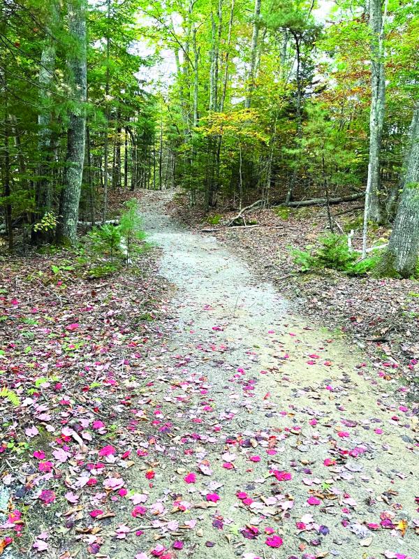 The Boothbay region school trail project made significant strides this year. Courtesy Larry Brown The Boothbay region school trail project made significant strides this year. Courtesy Larry Brown