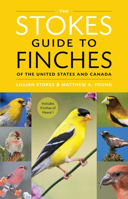 Among the fresh, new avian volumes this year is one co-authored by the authors' old friend from their days at the Cornell Lab of Ornithology. Among the fresh, new avian volumes this year is one co-authored by the authors' old friend from their days at the Cornell Lab of Ornithology.