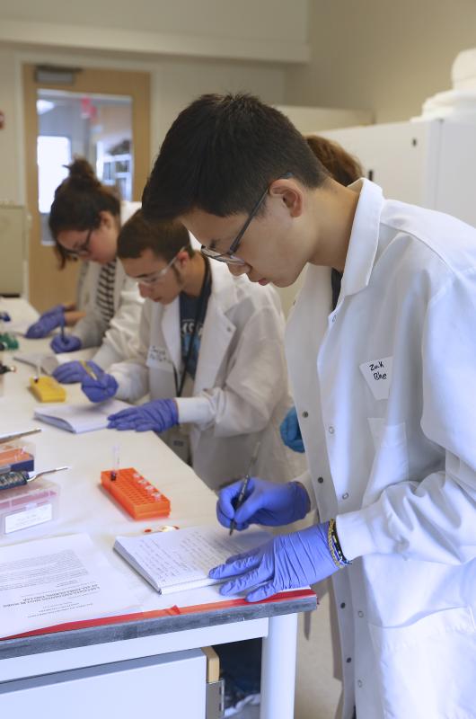 Students analyze samples in the lab. Courtesy of Robert Mitchell/Bigelow Laboratory for Ocean Sciences Students analyze samples in the lab. Courtesy of Robert Mitchell/Bigelow Laboratory for Ocean Sciences