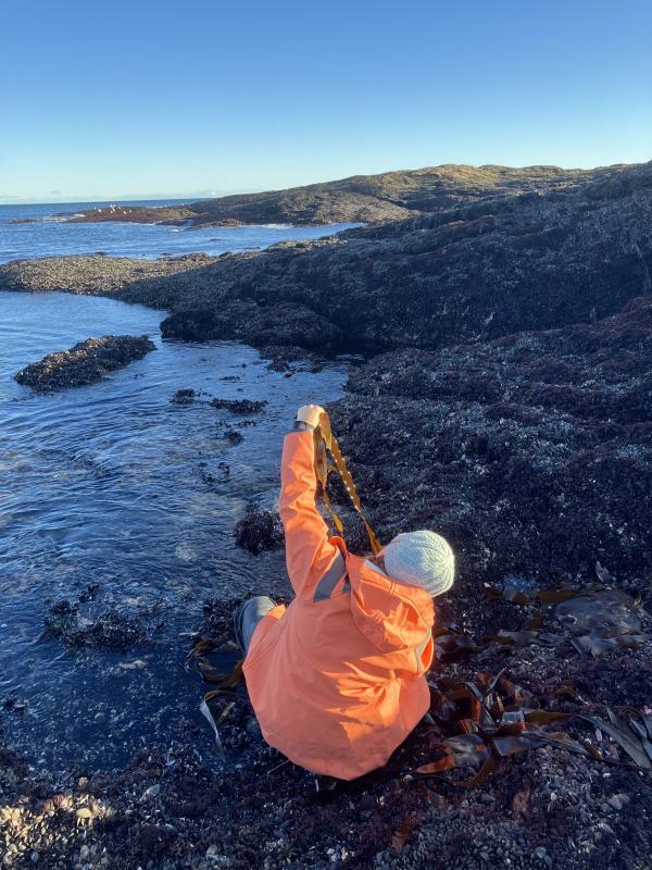 Senior Research Associate Brittney Honisch collects kelp for research supported by the Builders Initiative. Credit: Robin Sleith Senior Research Associate Brittney Honisch collects kelp for research supported by the Builders Initiative. Credit: Robin Sleith