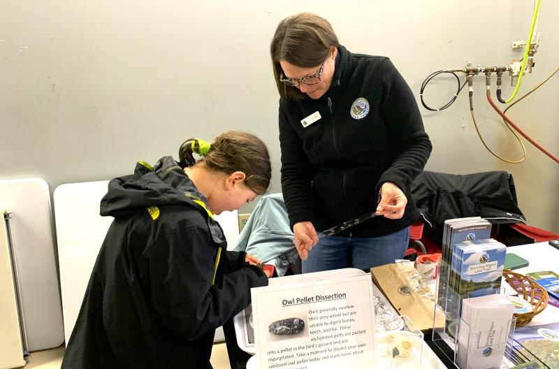 Gasps are heard at the owl pellet dissecting station. ISABELLE CURTIS/Boothbay Register Gasps are heard at the owl pellet dissecting station. ISABELLE CURTIS/Boothbay Register