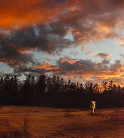 Artist Nate Butler's "Waldoboro." See the theatre volunteer's work in the show running through May 23. Courtesy of the artist Artist Nate Butler's "Waldoboro." Courtesy of the artist