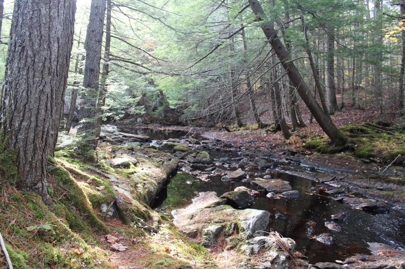 The new preserve includes over 1,600 feet of stream frontage along Deer Meadow Brook, which connects to the Sheepscot River via Marsh River. Courtesy of Coastal Rivers The new preserve includes over 1,600 feet of stream frontage along Deer Meadow Brook, which connects to the Sheepscot River via Marsh River. Courtesy of Coastal Rivers
