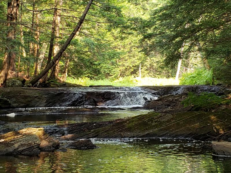 A stepped waterfall is among many interesting features of the new preserve. Courtesy of Coastal Rivers A stepped waterfall is among many interesting features of the new preserve. Courtesy of Coastal Rivers