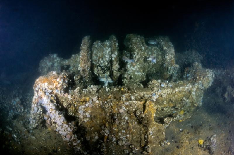 Seiner's double drum trawl winch. Courtesy of Joe Mazraani and Becca Boring Seiner's double drum trawl winch. Courtesy of Joe Mazraani and Becca Boring