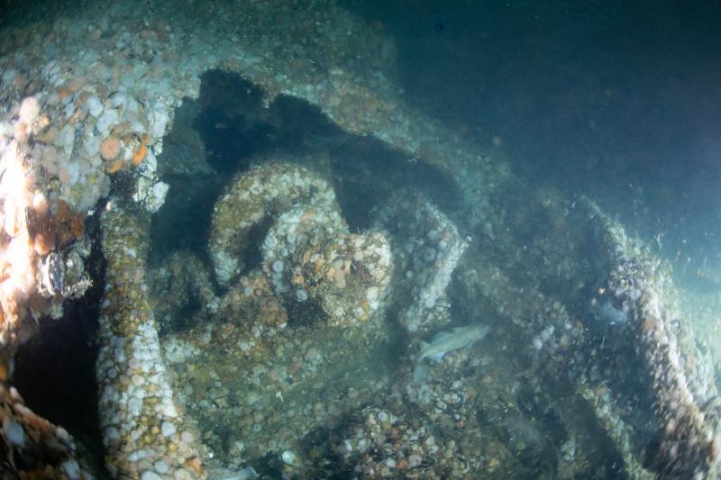 ST Seiner's anchor windlass. Courtesy of Andrew Donn ST Seiner's anchor windlass. Courtesy of Andrew Donn