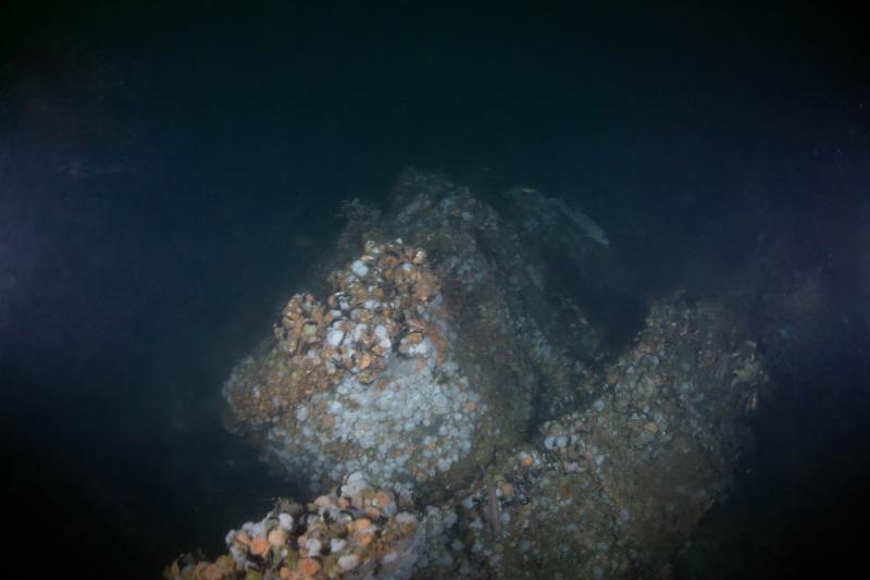 ST Seiner's steam engine. Courtesy of Andrew Donn ST Seiner's steam engine. Courtesy of Andrew Donn