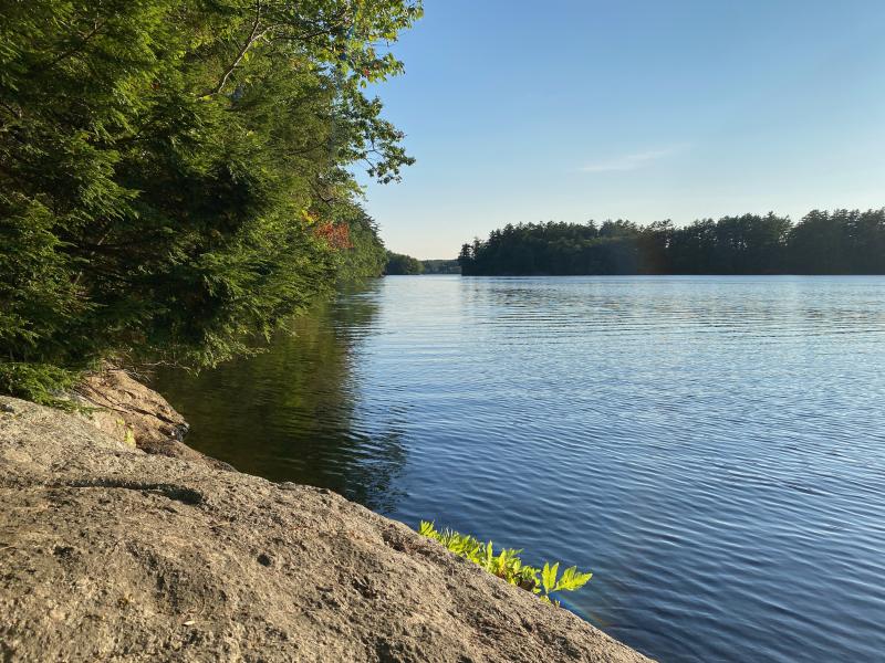 The new Muscongus Pond Preserve in Bremen, a gift to Coastal Rivers Conservation Trust by siblings John and Nancy Dean, includes 1,700 feet of frontage on Muscongus Pond. Courtesy of Coastal Rivers
